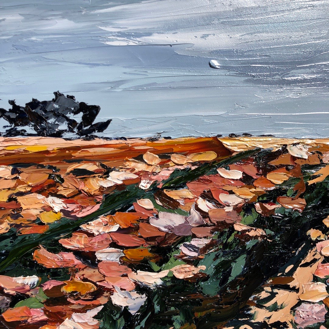 Carlsbad Flower Fields,24" X 48"