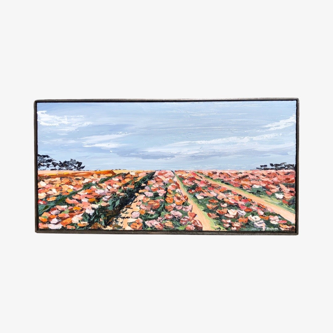 Carlsbad Flower Fields,24" X 48"