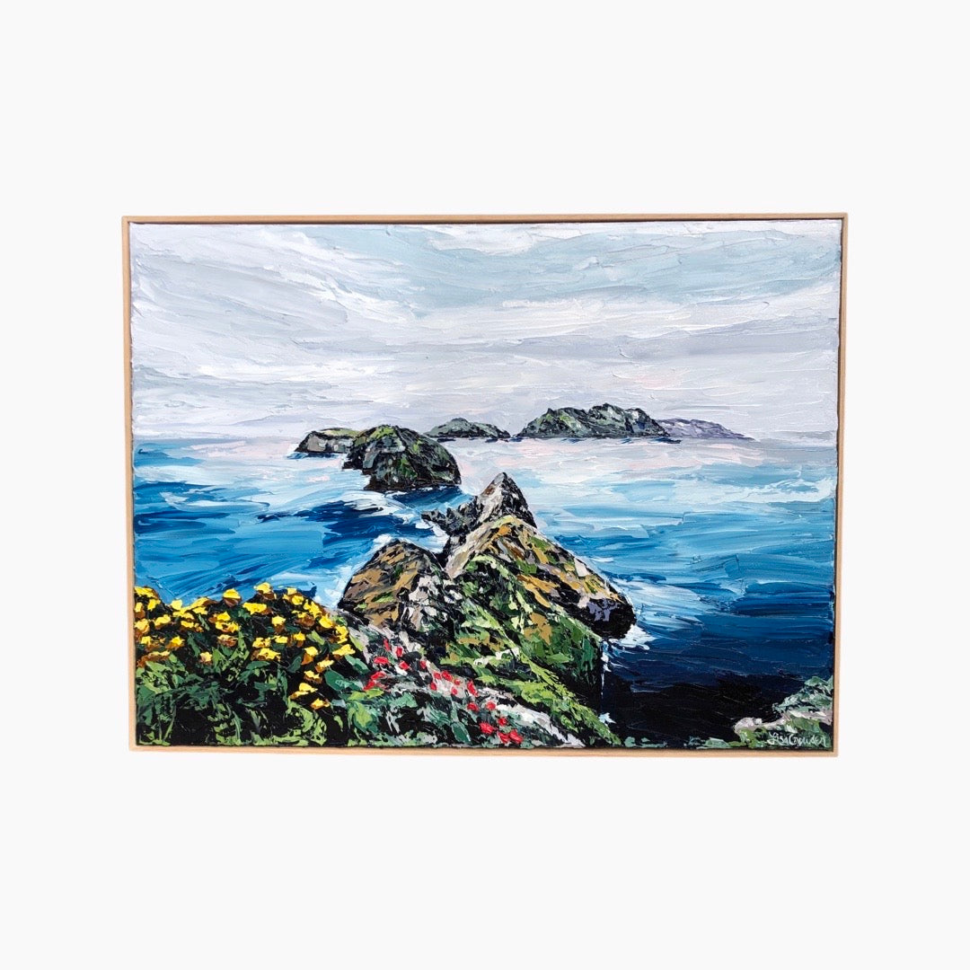 Anacapa In Bloom, 30" X 40"
