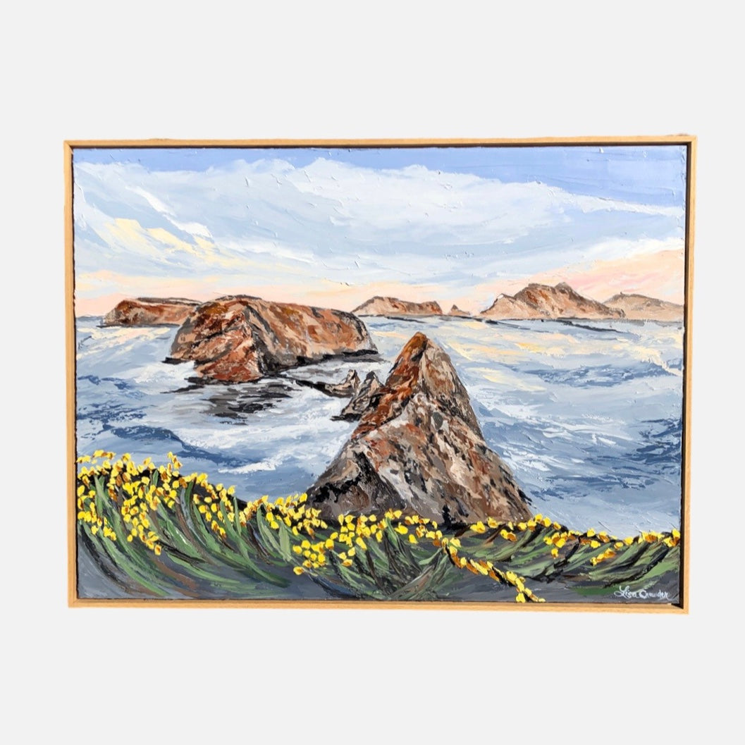 Anacapa Superbloom, 30" X 40"