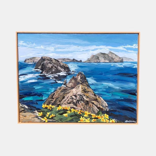 Anacapa Bloom, 30" x 40"