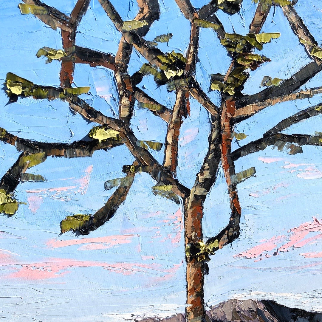 Desert Dreams, 30" X 40"