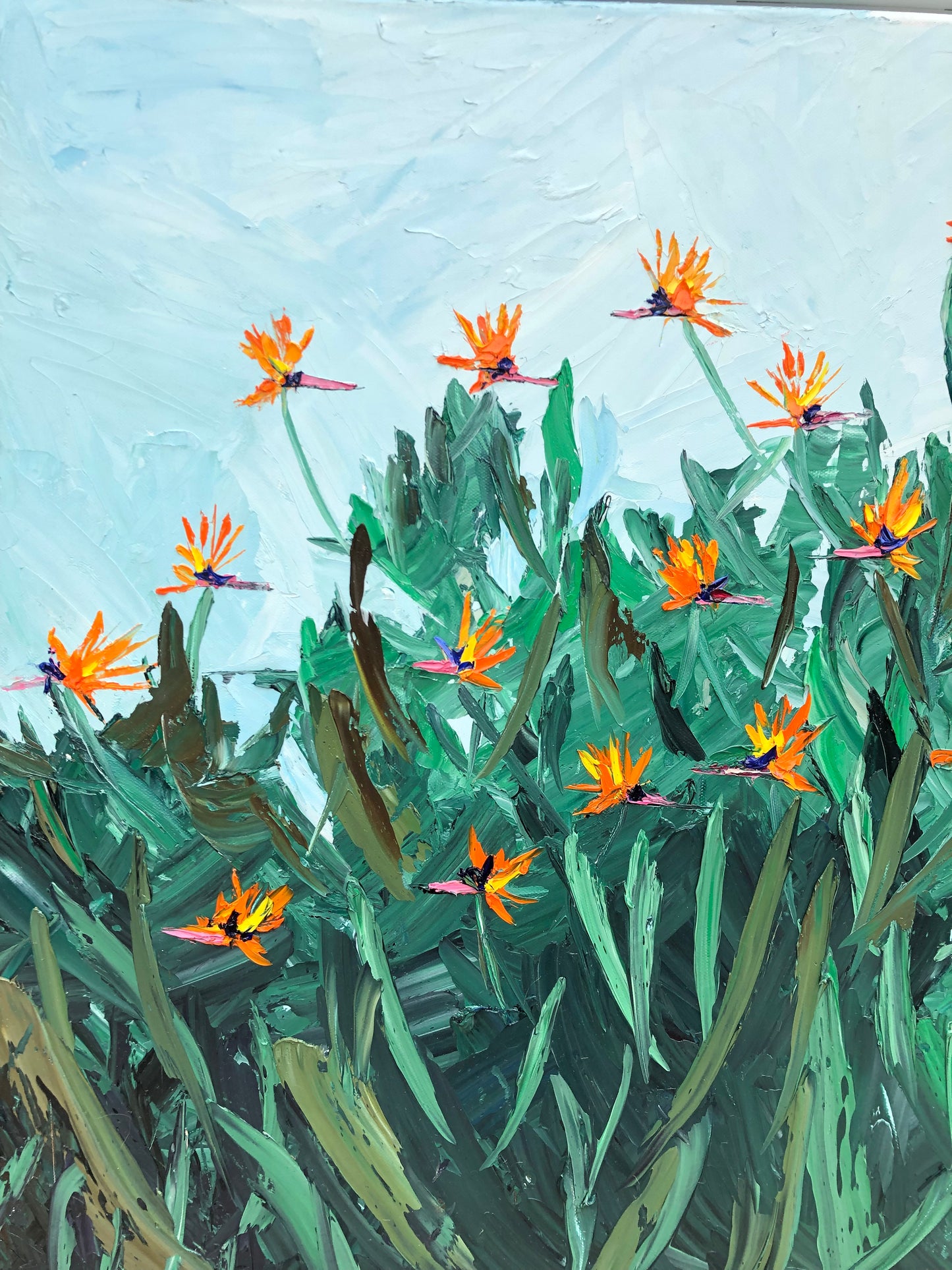 Sunny Day Birds of Paradise 24" X 36"