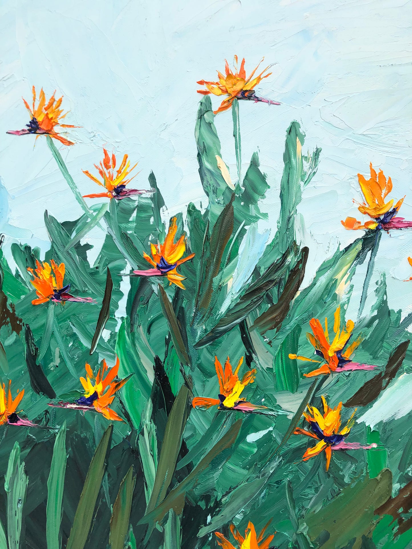 Sunny Day Birds of Paradise 24" X 36"