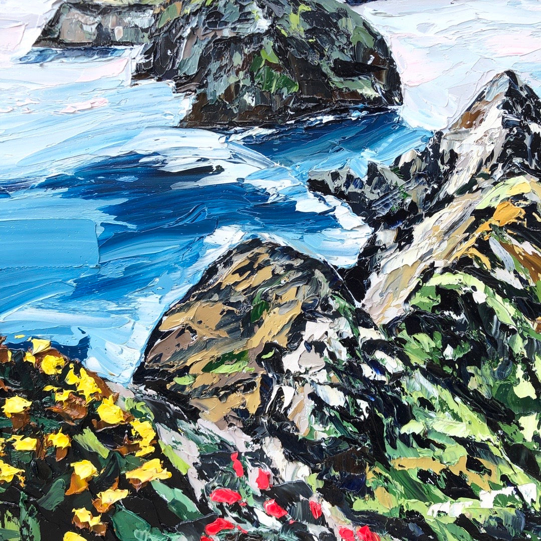 Anacapa In Bloom, 30" X 40"